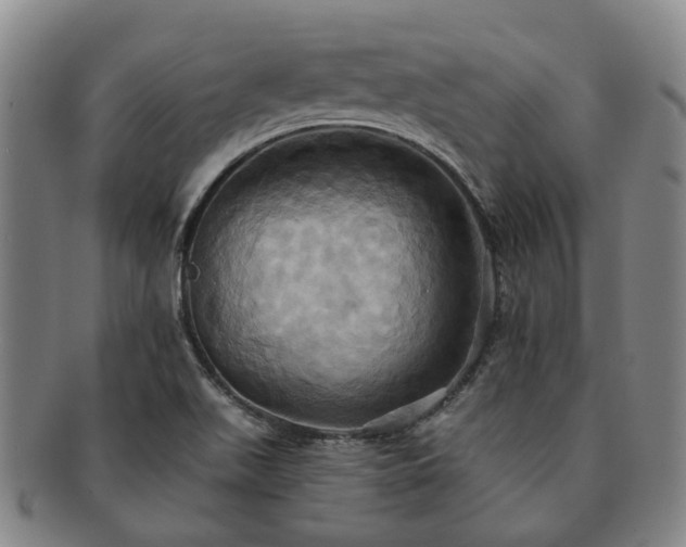 X0000091581511200708271209