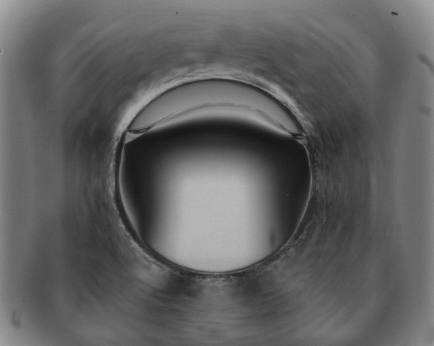 X0000091581512200708271209