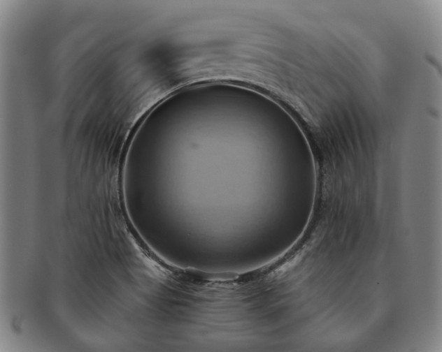 X0000091581513200708271209