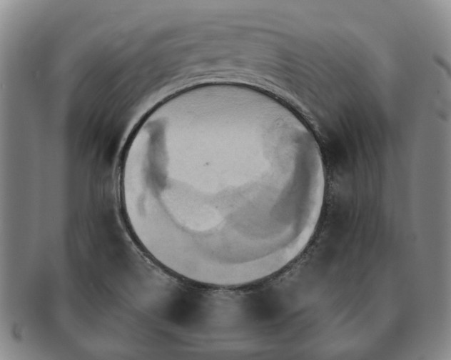 X0000091581514200708271209