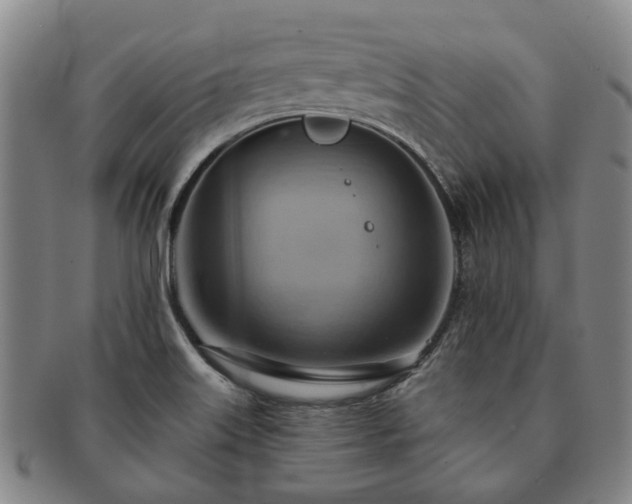 X0000091581515200708271209