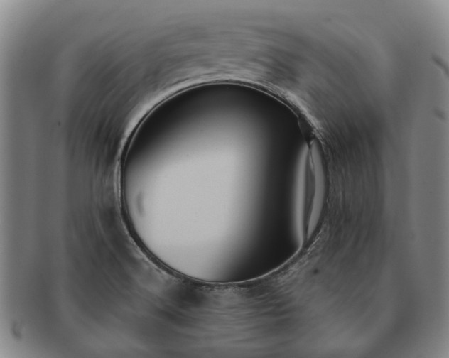 X0000091581516200708271209