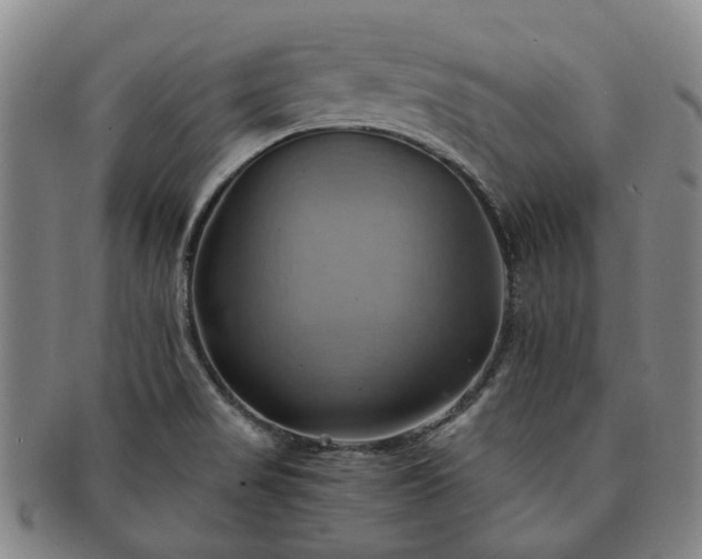 X0000091581517200708271209