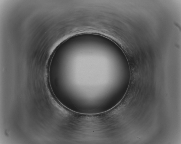 X0000091581518200708271209