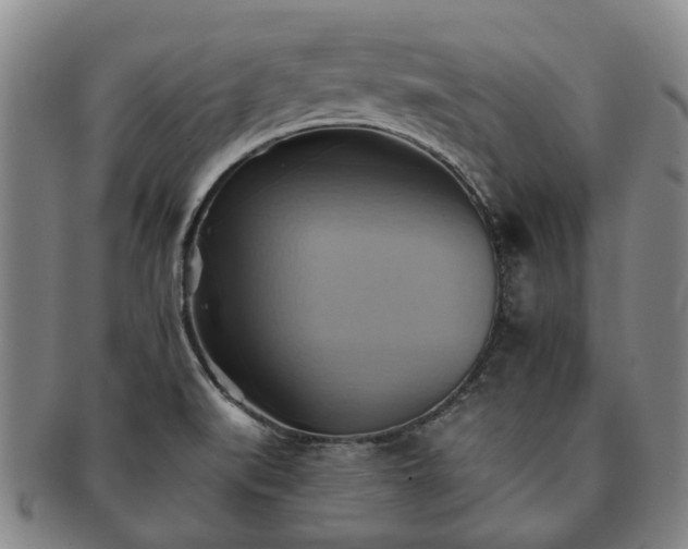 X0000091581519200708271209