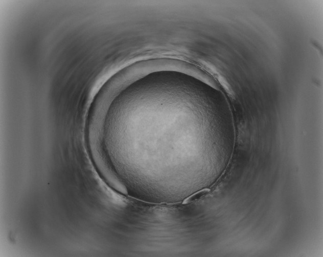 X0000091581520200708271209
