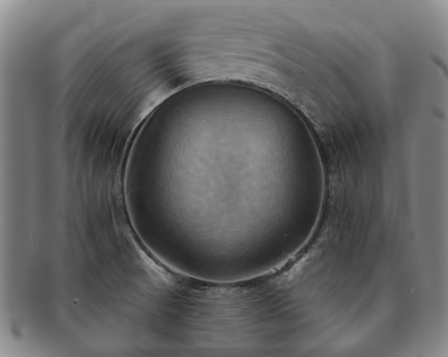 X0000091581521200708271209