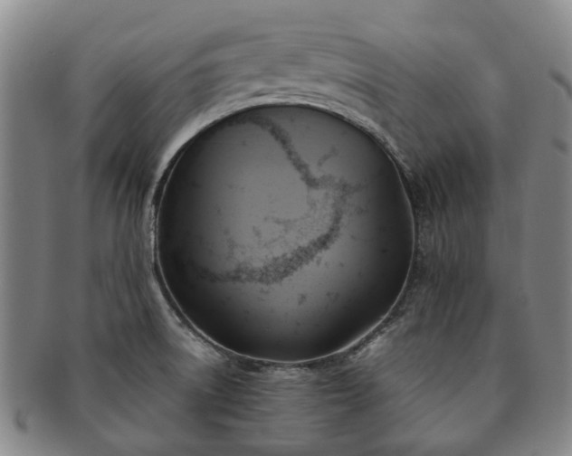 X0000091581522200708271209