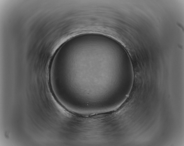 X0000091581523200708271209