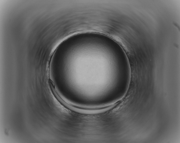 X0000091581524200708271209
