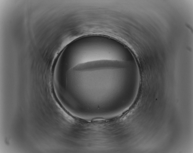 X0000091581525200708271209
