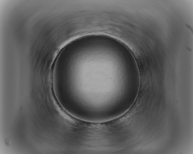 X0000091581526200708271209