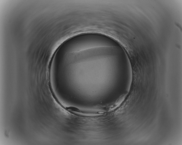 X0000091581527200708271209