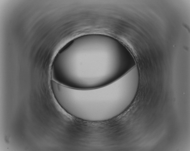 X0000091581528200708271209