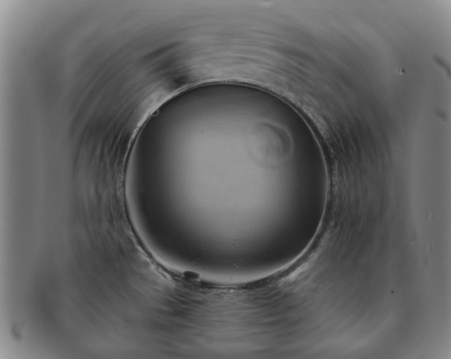 X0000091581529200708271209