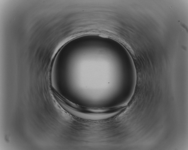 X0000091581530200708271209