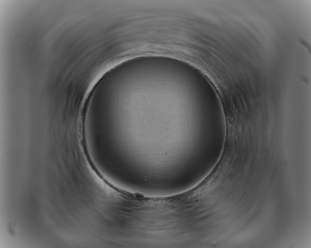 X0000091581531200708271209