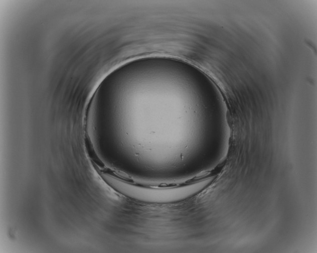 X0000091581532200708271209