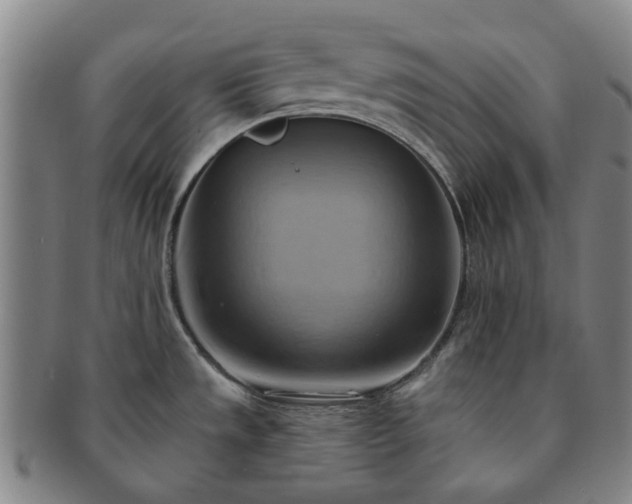 X0000091581533200708271209