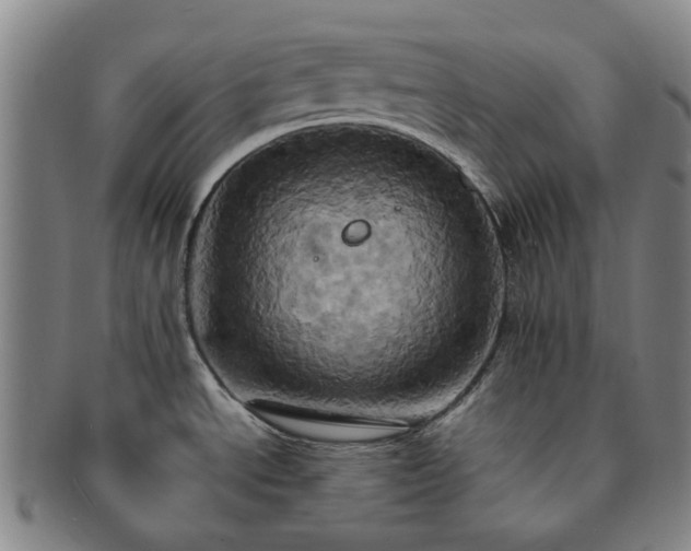 X0000091581534200708271209