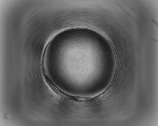 X0000091581536200708271209