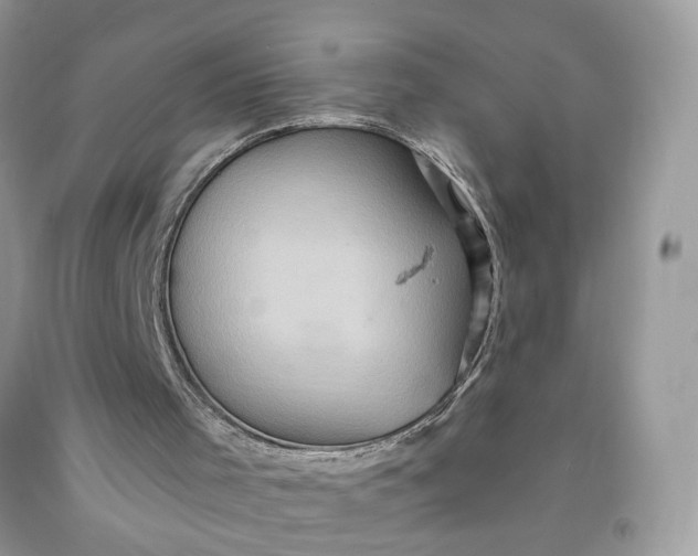 X0000091580001200709051110