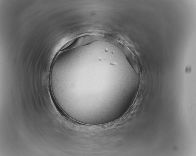 X0000091580003200709051110