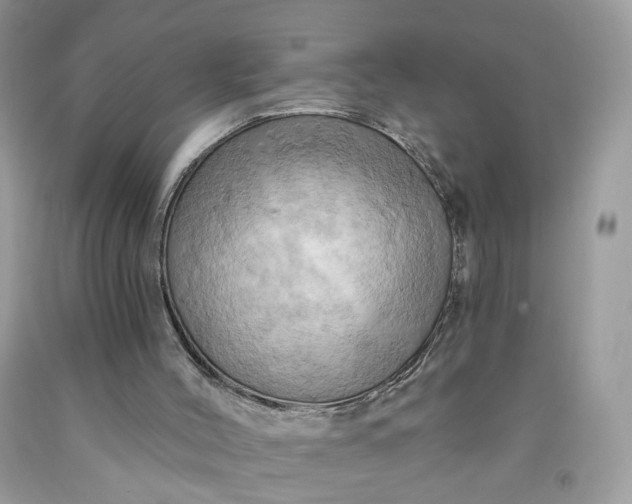 X0000091580004200709051110