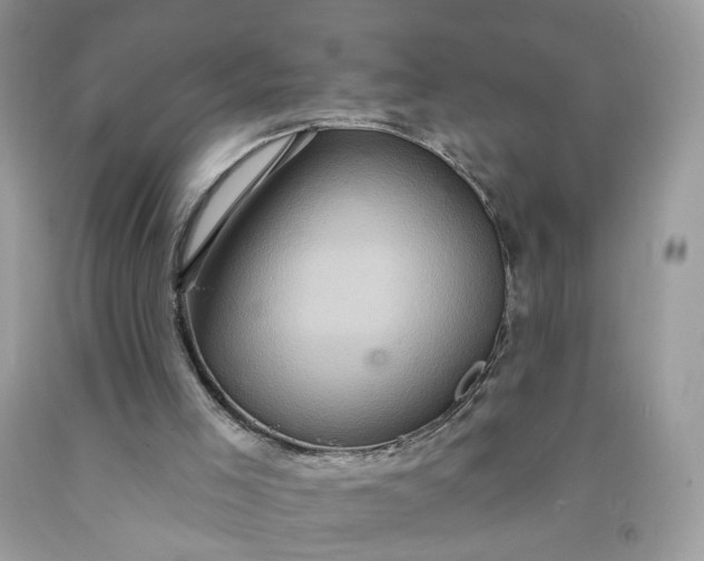 X0000091580005200709051110