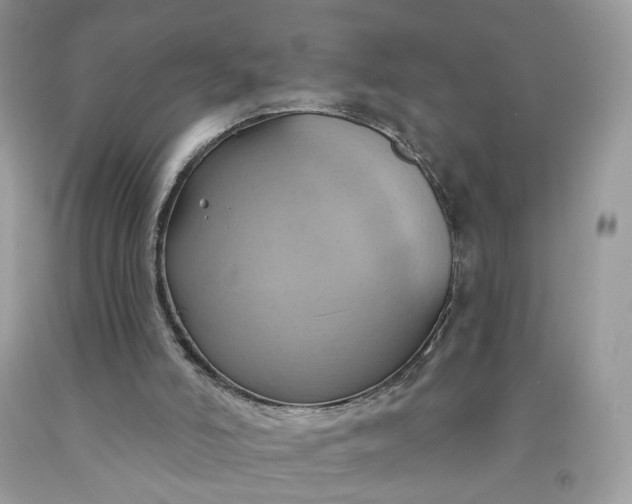 X0000091580006200709051110