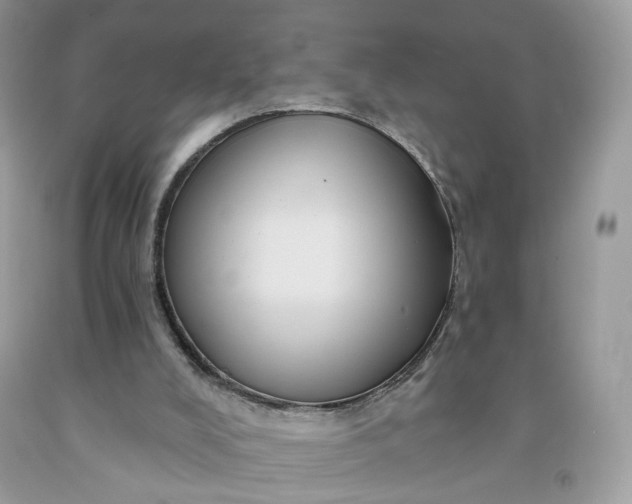 X0000091580008200709051110