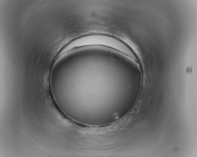 X0000091580009200709051110