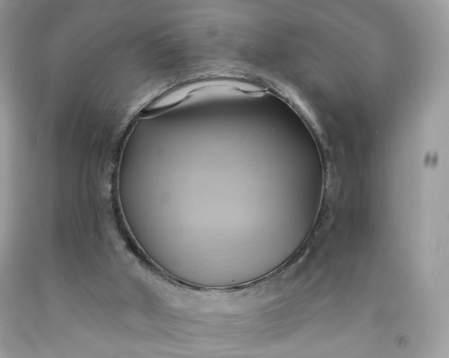 X0000091580010200709051110