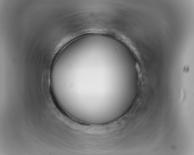 X0000091580011200709051110