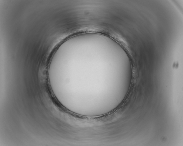 X0000091580012200709051110