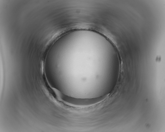 X0000091580013200709051110