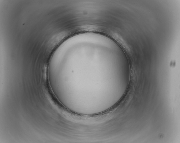 X0000091580014200709051110