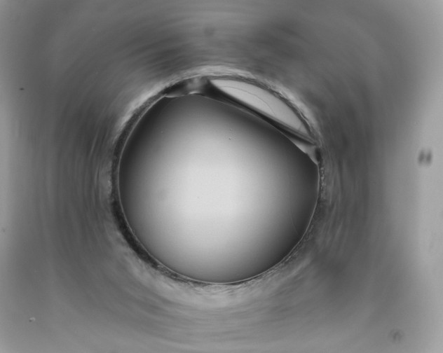 X0000091580015200709051110