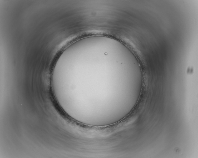 X0000091580016200709051110