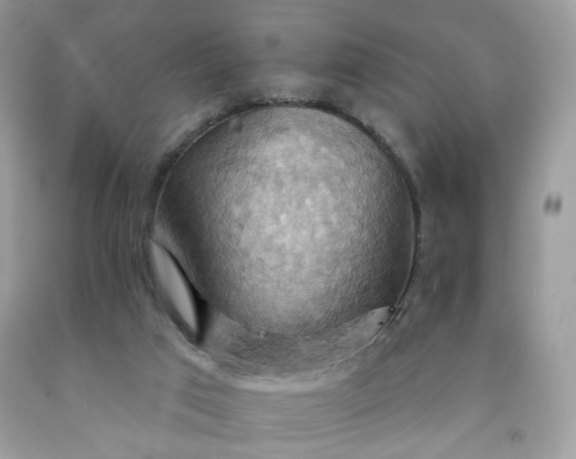 X0000091580017200709051110