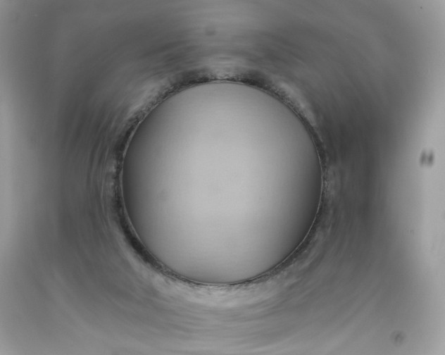 X0000091580018200709051110