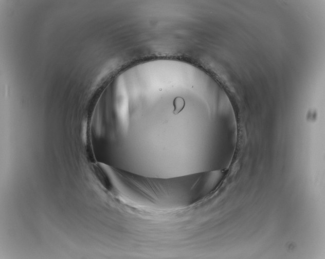 X0000091580019200709051110