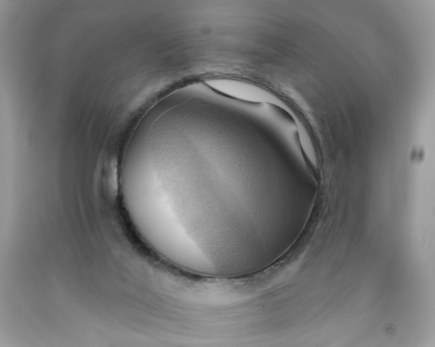 X0000091580020200709051110