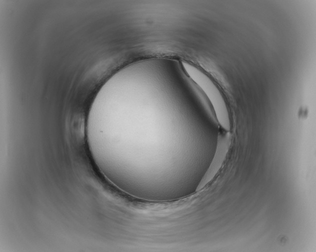 X0000091580021200709051110