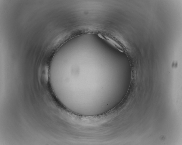 X0000091580022200709051110