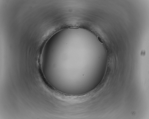 X0000091580023200709051110