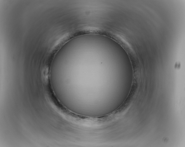 X0000091580024200709051110