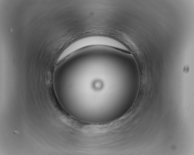 X0000091580025200709051110