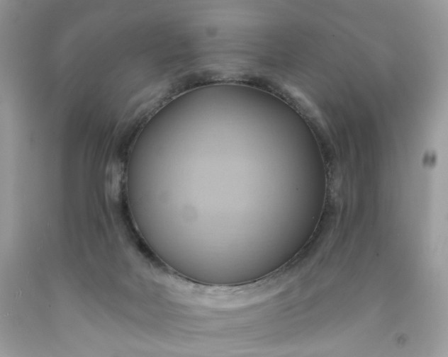 X0000091580026200709051110