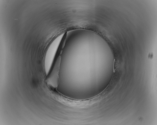 X0000091580027200709051110